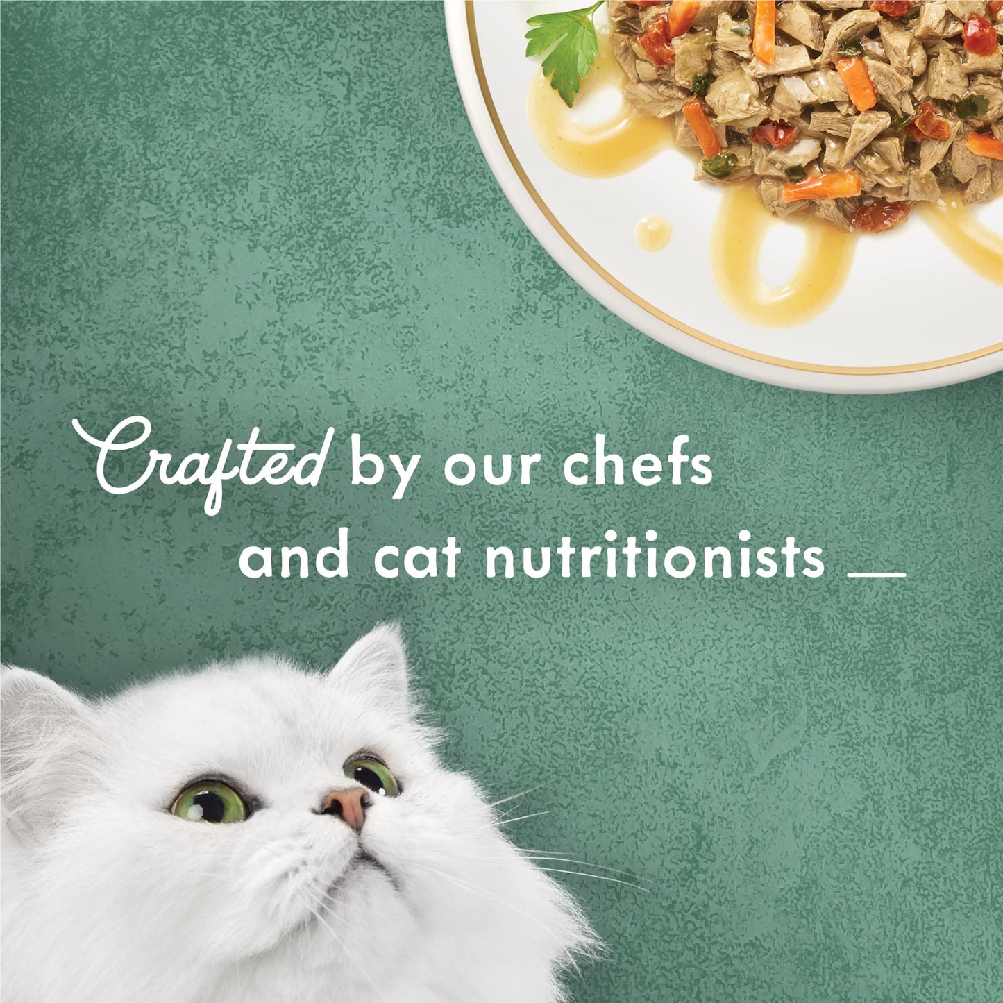 Purina Fancy Feast Wet Cat Food, Medleys Tender Turkey Primavera With Tomatoes, Carrots and Spinach in Broth - (Pack of 24) 3 oz. Cans