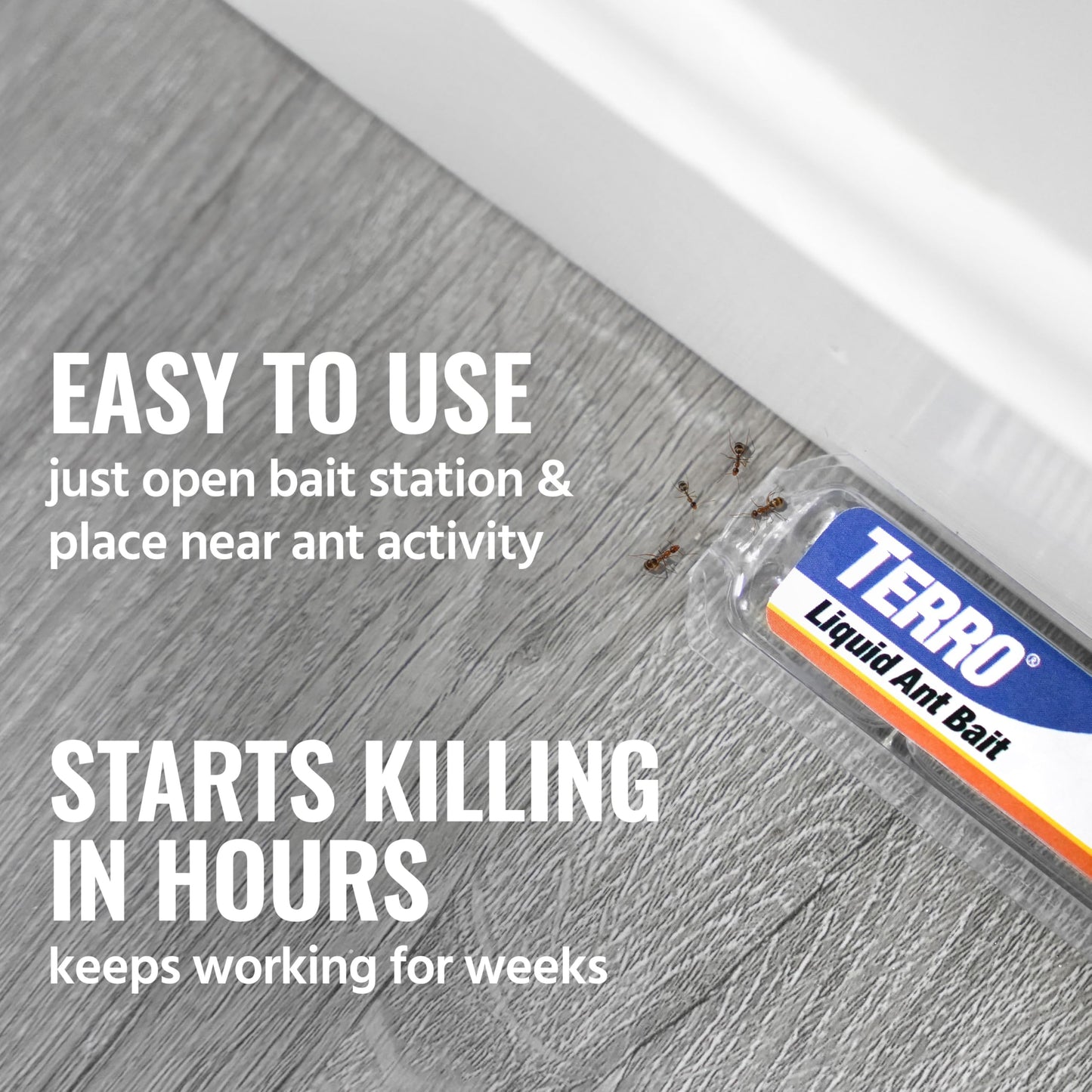TERRO Ant Killer Bait Stations T300B - Liquid Bait to Eliminate Ants - Bait System - 12 Count Stations for Effective Indoor Ant Control