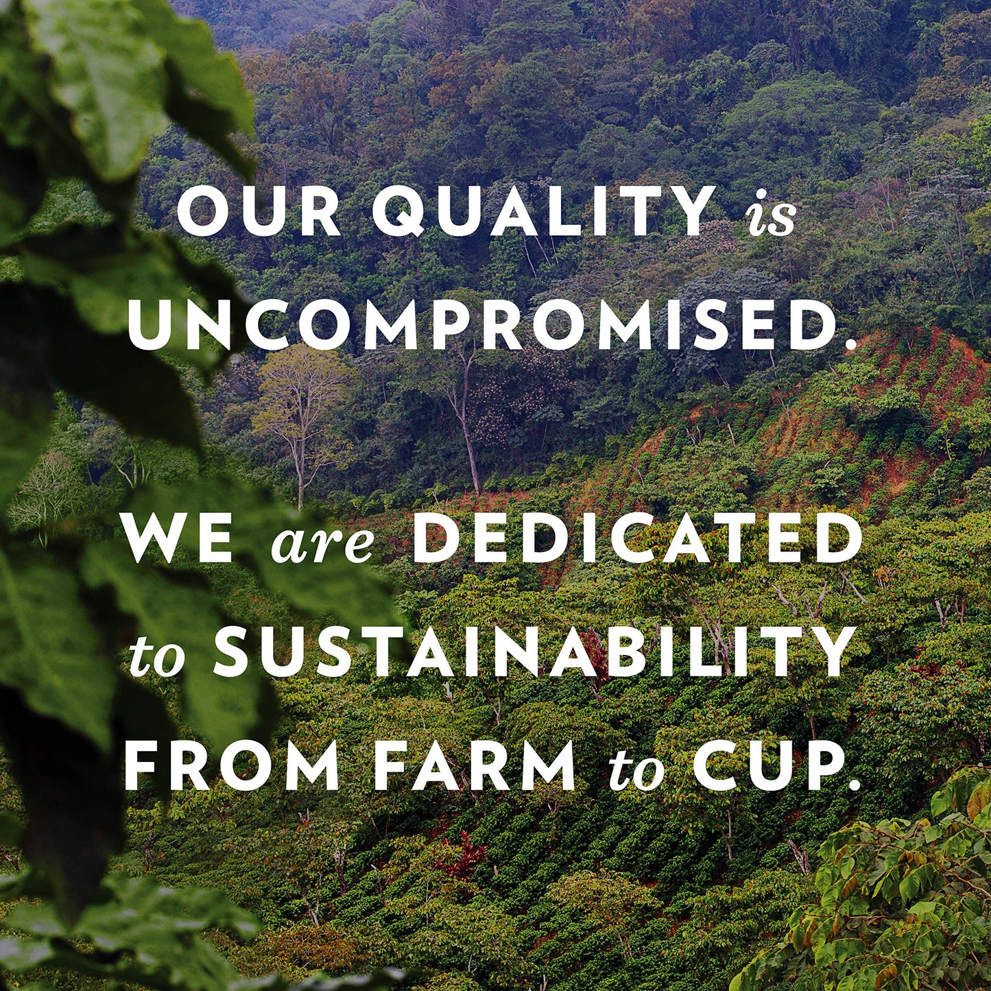 Community Coffee Coffee and Chicory Medium-Dark Roast Single Serve Keurig K-Cup Pods 32 ct Box