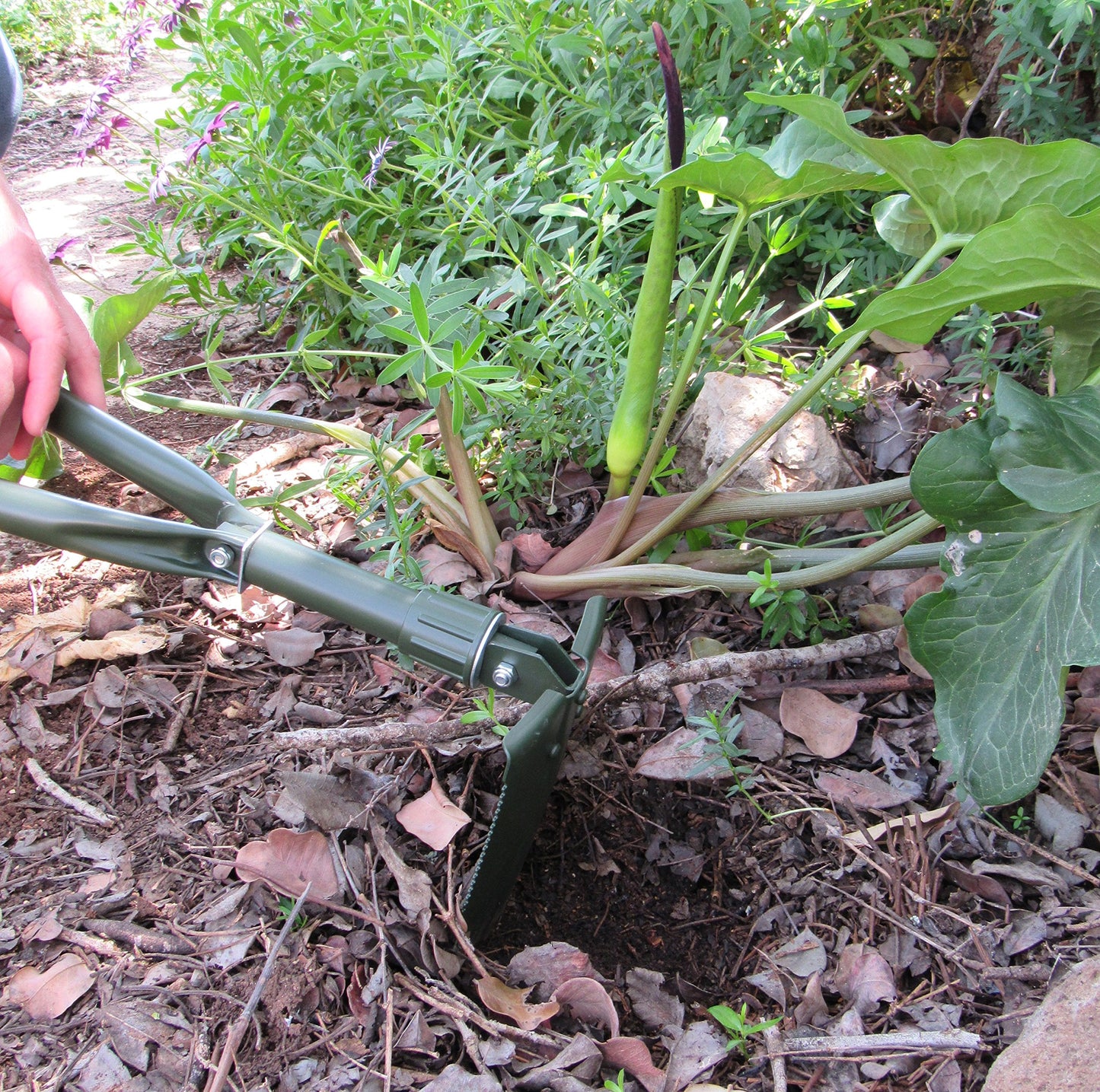 TABOR TOOLS Folding Shovel - Portable Survival Spade for Camping Gear and Emergencies - Steel Rugged Edge Blade - Includes Carrying Pouch - Lightweight E-Tool with Military-Grade Durability. J35A